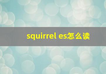 squirrel es怎么读